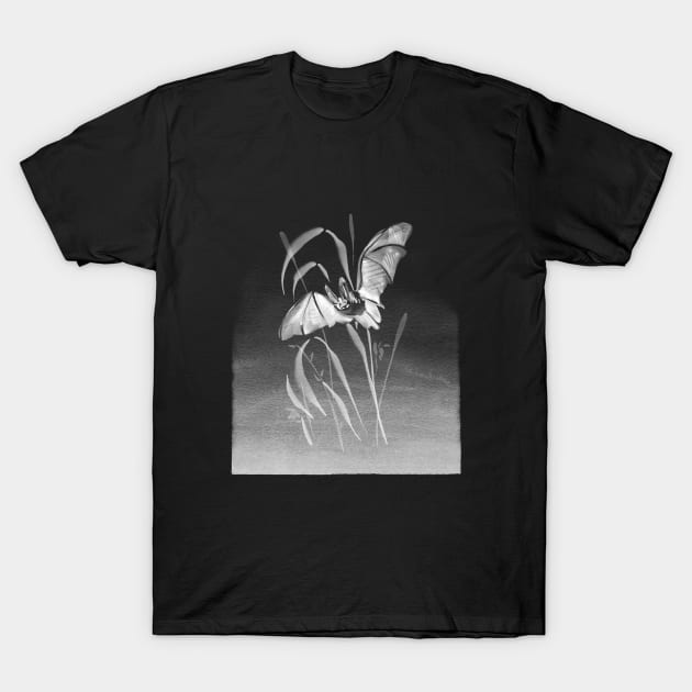 Bat Paintings T-Shirt by Z1